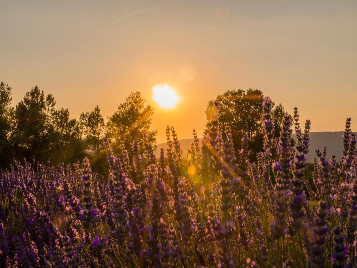 Domaine Du Frigoulet Hotell Vagnas Eksteriør bilde